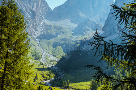 landscape with mountains and trees, a Nature Photo by Alliance Images