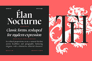 Choppin Serif | 91 Style Font, a Serif Font by Bosstype Studio (Thumbnail 8 of 15)