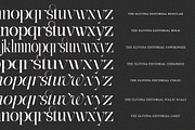 The Eliven Editorial | 7 Font Style, a Serif Font by IM Studio (Thumbnail 14 of 15)
