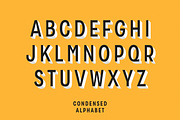 Zippy Gothic - A Huge Layered Family, a Sans Serif Font by Polytype (Thumbnail 12 of 13)