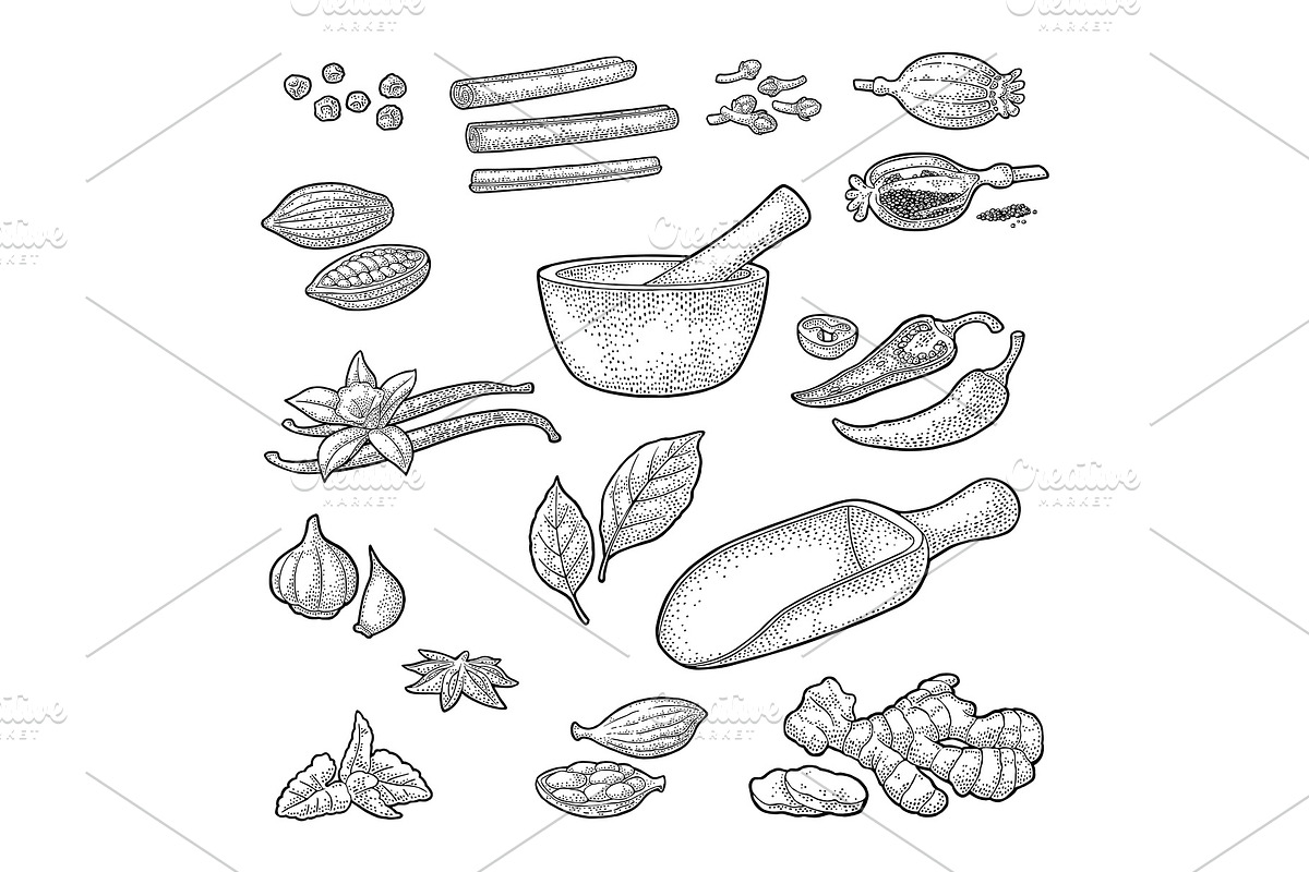 Set of Spices. Engraving, a Food Illustration by MoreVector (Photo 3 of 3)