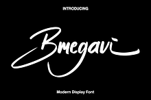 Bmegavi - Modern Display Font