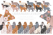 Ukrainian Levkoy cat clip art, an Animal Illustration by pet design shop (Thumbnail 1 of 5)