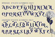 Material Lettering - Luxury Serif, a Serif Font by 177Studio (Thumbnail 8 of 9)