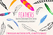 Feathers Watercolor and Ink Bundle, an Animal Illustration by Violet LeBeaux (Thumbnail 2 of 4)