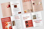 Project Product Look Book Template, a Brochure Template by TMint Play (Thumbnail 2 of 8)