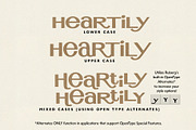 Ruberg | Retro Display Type!, a Font by StudioWorks (Thumbnail 3 of 10)