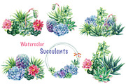 Succulents Botanical Watercolor, a Background Graphic by Hanna Hryharenka (Thumbnail 9 of 15)