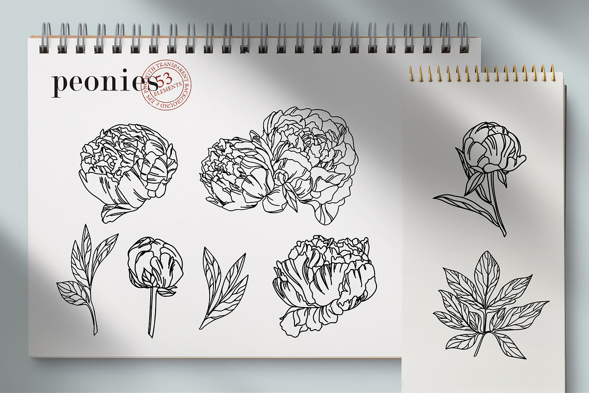 Flowers Line Hand Drawn, a Decorative Illustration by LanaDzi (Photo 5 of 10)