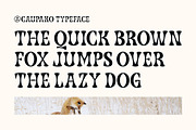 Caupako Font, a Serif Font by trustha (Thumbnail 13 of 15)
