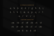 Sellon Elegant Serif Font, a Serif Font by Graphicxell (Thumbnail 8 of 8)