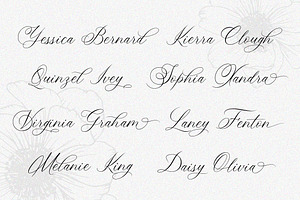 Keukenhof Modern Calligraphy Font