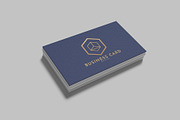 Business Card Mockup, an Advertising Mockup by Graphiculon (Thumbnail 10 of 11)
