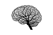 Brain Tree Knowledge Design Bundle, an Illustration by Gaye Art (Thumbnail 27 of 31)