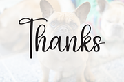 Bulldogs | Script Font, a Handwritten Font by Scratchones (Thumbnail 9 of 9)