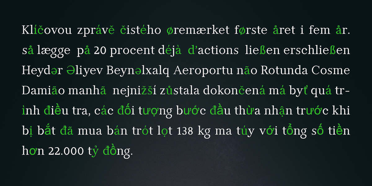 Manas, a Serif Font by Fontuma (Photo 11 of 12)