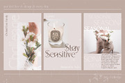 Orchid Sans Serif Font Family, a Sans Serif Font by Anna Zakharchenko (Thumbnail 6 of 12)