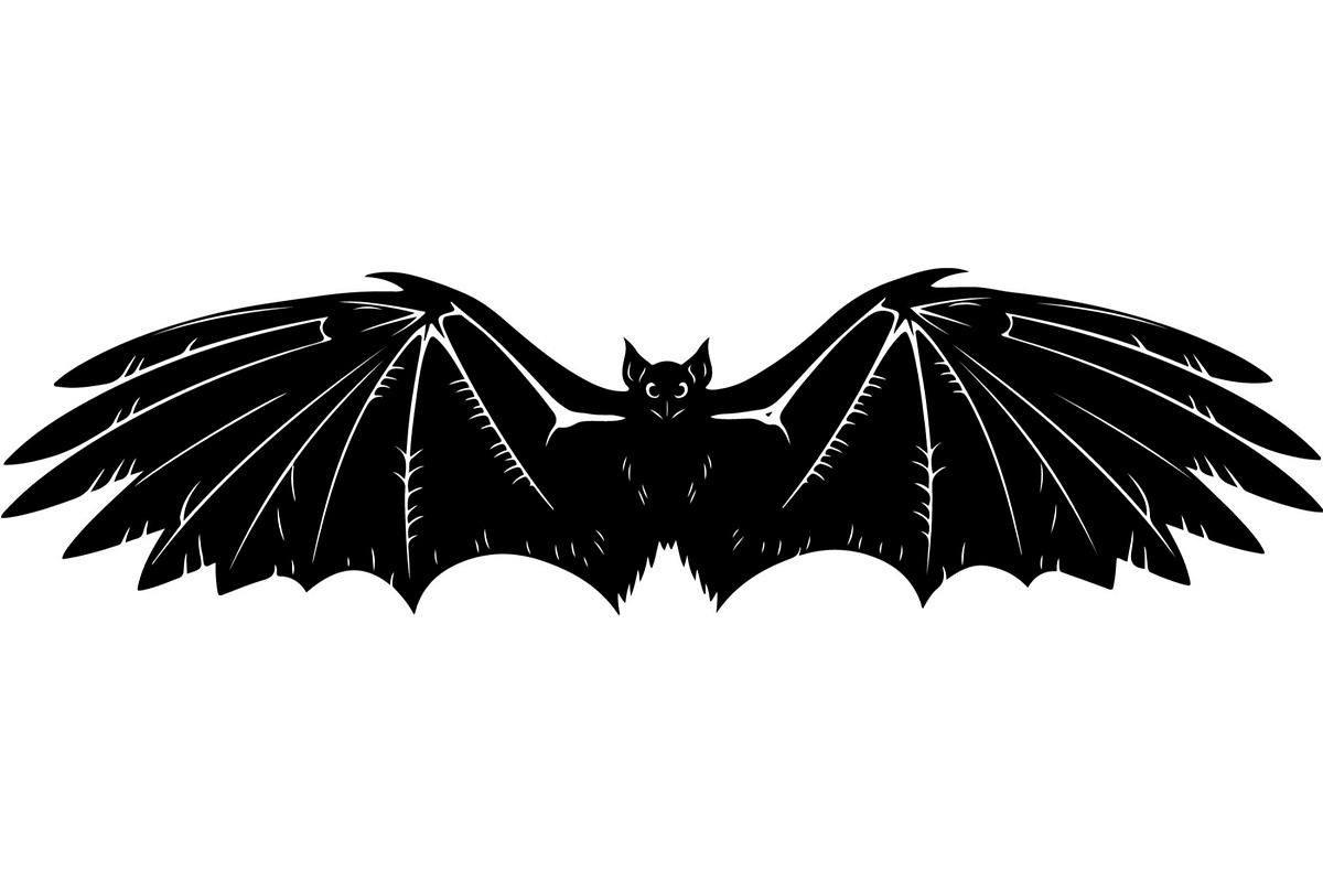 Bird Silhouettes Flying Sideways, an Animal Illustration by Designer_Momina (Photo 5 of 21)