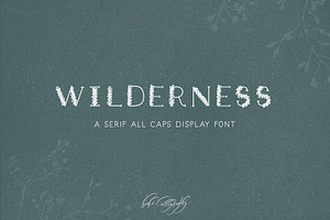 Wilderness - Serif Display Font