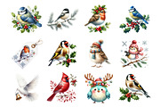 Christmas Birds Clipart, an Illustration by Design Market (Thumbnail 2 of 4)
