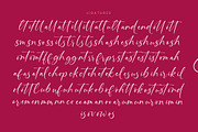 Montise Natasha Stylish Handwritten, a Script Font by stylishtype.co (Thumbnail 19 of 20)