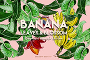 BANANA LEAVES AND BLOSSOM., an Illustration by FAZOSINNWORLD (Thumbnail 1 of 4)