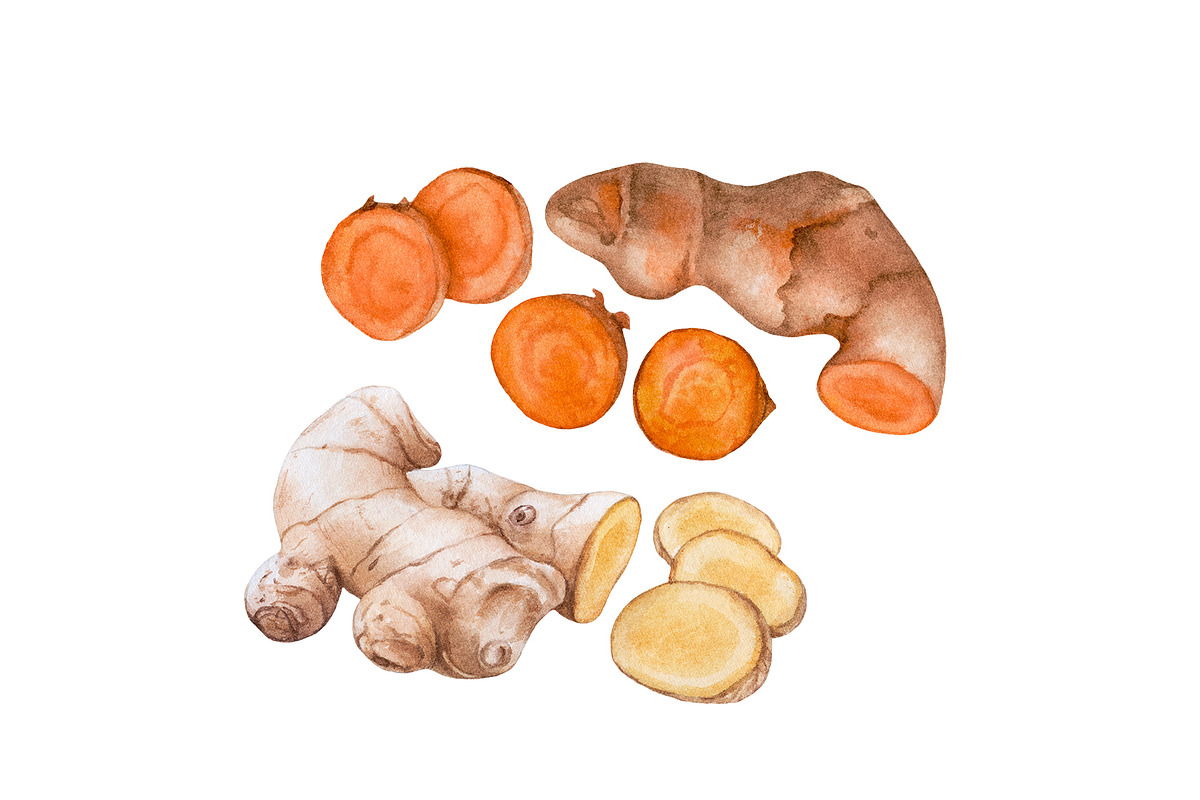Watercolor fruit&vegetable slices, a Food Illustration by Katya Zlobina (Photo 4 of 14)