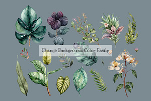 Watercolor Beautiful Botanicals