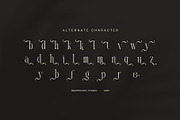 Kamila Elegant Modern Serif Font, a Serif Font by Graphicxell (Thumbnail 8 of 8)