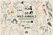 Wild Animals Line Art + Procreate, an Animal Illustration by Skliarova (Thumbnail 1 of 4)