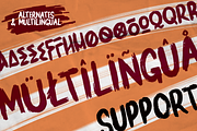 WILD BRUSH, a Script Font by 24Design Studios (Thumbnail 6 of 8)
