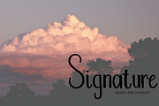Smart, a Handwritten Font by FreshTypeINK (Thumbnail 4 of 8)