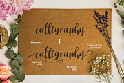 Shella Font Trio, a Script Font by Masanis (Thumbnail 7 of 10)