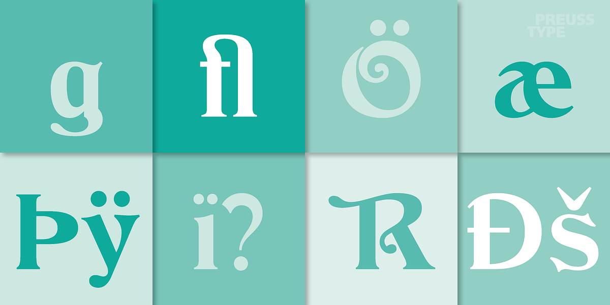 Colombo, a Serif Font by preussTYPE (Photo 8 of 9)