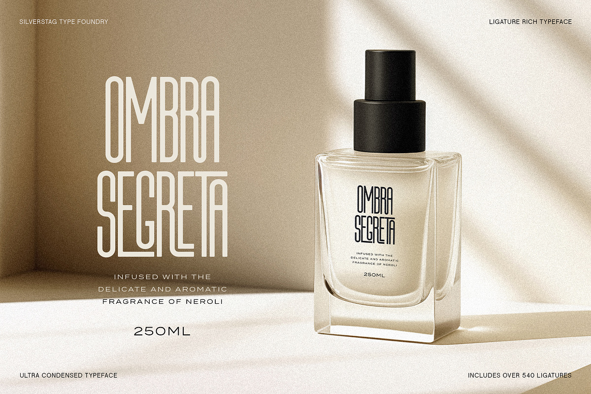First Contact - 16 Fonts in One Pack, a Sans Serif Font by SilverStag Type Foundry (Photo 7 of 30)