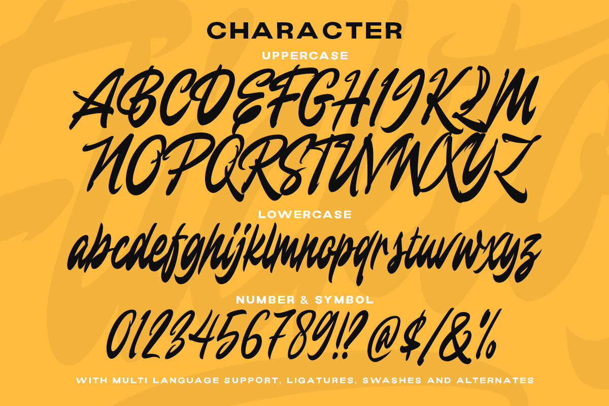 Flicktoy - Brush Script Font, a Script Font by Letterhend Studio (Photo 8 of 9)