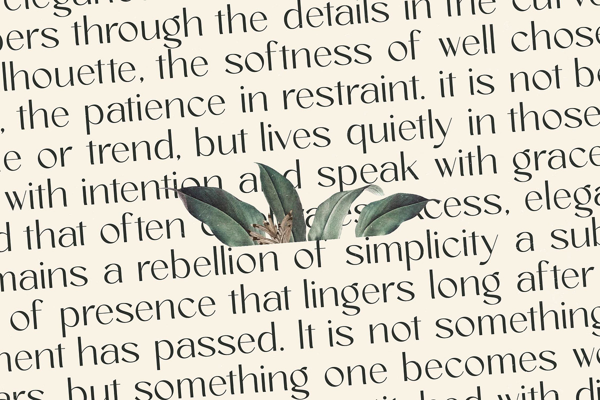 Amira Monte Elegant Display Font, a Sans Serif Font by timelesstype.co (Photo 11 of 20)