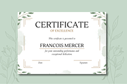 5 Organic Certificates Templates, a Templates & Theme by TemplateCastleStore (Thumbnail 5 of 9)