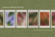 Garden Haze - Blurry Backgrounds, a Background Graphic by Dina Mae (Thumbnail 3 of 14)