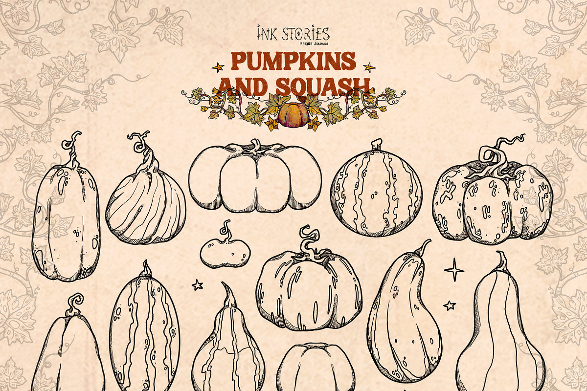 Pumpkins and Squash, a Seasonal Illustration by Ink Stories (Photo 5 of 20)
