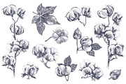 Cotton set, a Decorative Illustration by handsketched (Thumbnail 3 of 15)