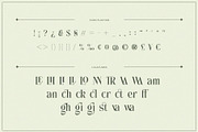 Anchika – Elegant Ligature Serif, a Serif Font by Almeera Std (Thumbnail 10 of 10)