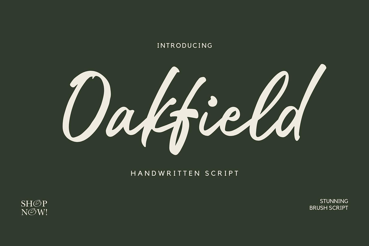 Oakfield Script, a Script Font by Xelo Graph (Photo 1 of 7)