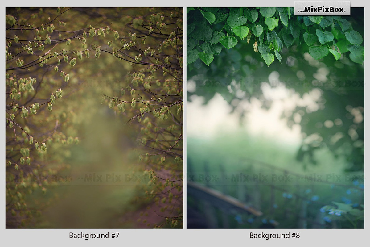Spring Portrait Backgrounds, a Wallpaper Graphic by MixPixBox (Photo 6 of 10)