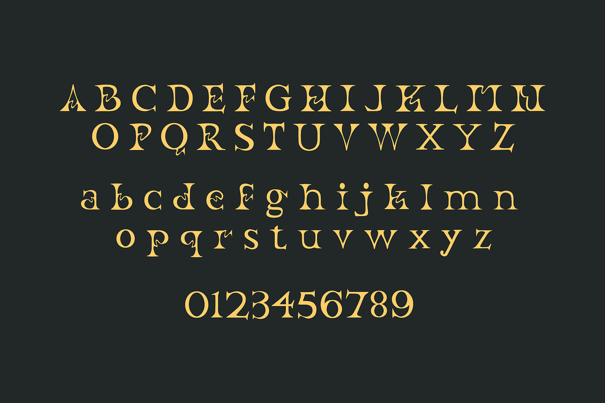 ROMANUM Serif display font, a Serif Font by WAP (Photo 3 of 4)