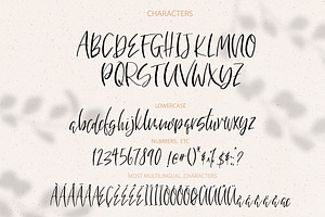 Bountiful Handlettered Font