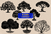 Oak Tree engraving Bundle, an Object Illustration by Arthur Balitskiy (Thumbnail 1 of 4)