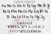 Christmas Amazing, a Handwritten Font by FreshTypeINK (Thumbnail 8 of 9)