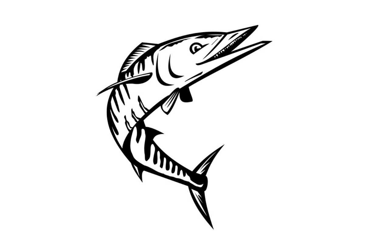 Wahoo Acanthocybium Solandri Jumping, an Illustration by patrimonio