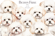 Bichon Frise, an Animal Illustration by TheCuteShop (Thumbnail 1 of 3)